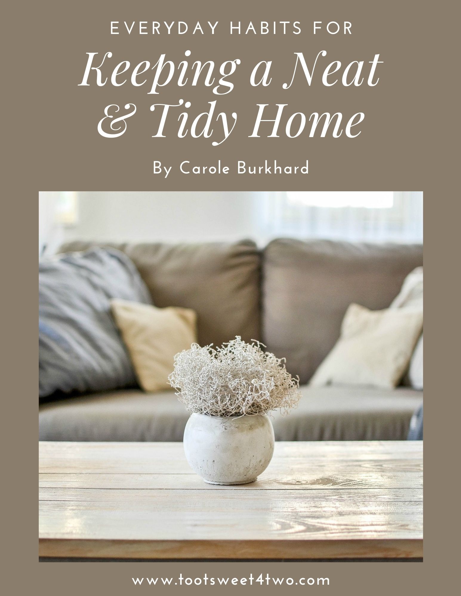 Cover image for everyday habits for keeping a neat & tidy home eBook.